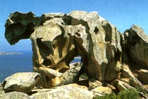 Capo D'Orso